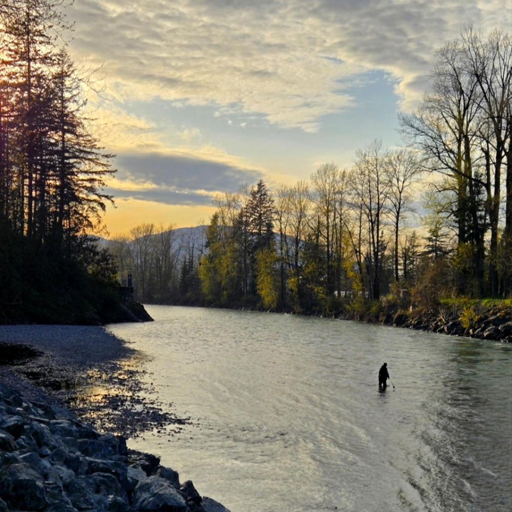 Meet your Posher, Jessie